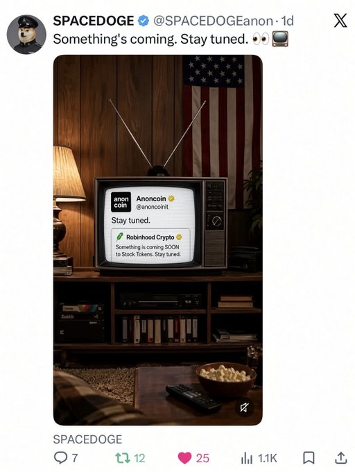 A tweet by SPACEDOGE (@SPACEDOGEanon) saying 'Something's coming. Stay tuned,' featuring an image of a vintage TV displaying 'Anoncoin' and 'Robinhood Crypto' with an American flag in the background, showing 25 likes and 1.1K reposts.