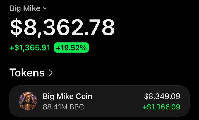 Cryptocurrency wallet screenshot showing 'Big Mike' portfolio valued at $8,362.78 (+$1,365.91, +19.52%), with 'Big Mike Coin' holding 88.41M BBC valued at $8,349.09.