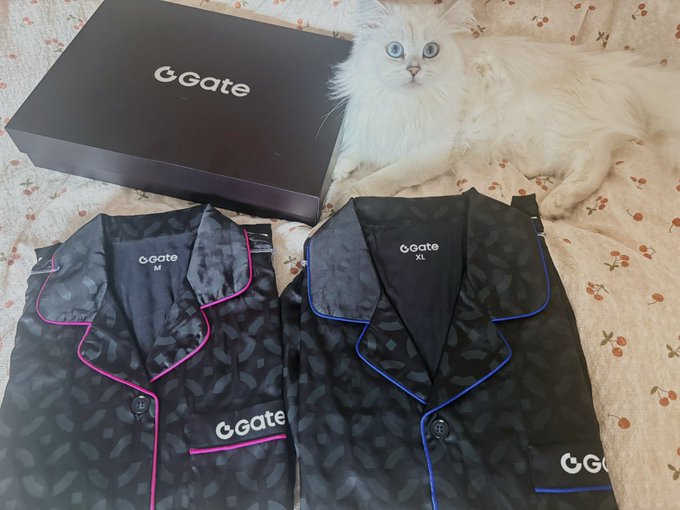 A flat lay showing two black patterned pajama sets labeled 'Ggate M' and 'Ggate XL' with pink and blue piping, next to their branded box and a white fluffy cat.