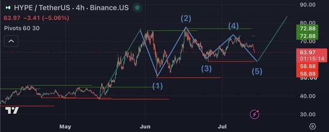 A TradingView 4-hour chart of HYPE/TetherUS shows the token trading at 63.97, down 5.06%, with a bullish flag pattern forming through labeled swing points (1-5) that suggest a potential rally toward $100. The post's optimistic forecast aligns with the chart's technical setup, showing price consolidation after a strong uptrend from May lows around $40.