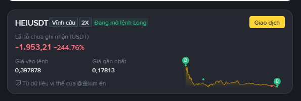 A dark cryptocurrency dashboard panel for "HEIUSDT" showing a severe loss of -244.76% (-1,953.21 USDT) with a price drop to 0.397878, displayed in Vietnamese ("Vịnh cừu").