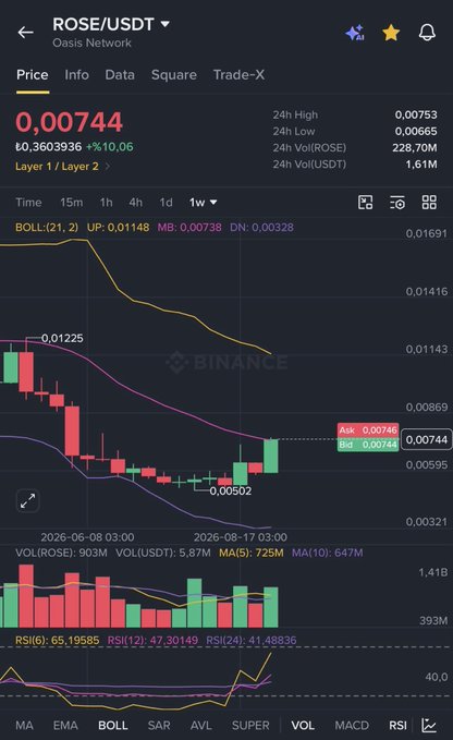 A Binance candlestick chart for ROSE/USDT (Oasis Network) shows a price of 0.00744 USDT, with a recent rebound from a low of 0.00502 toward the highlighted resistance level of 0.00746, supporting the post's bullish outlook that ROSE is preparing to break out and rally toward $0.012.