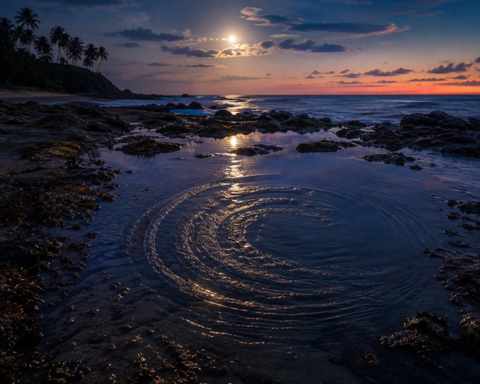 A moonlit tidal pool forms perfect concentric ripples on a rocky beach at twilight, with palm trees silhouetted against a glowing horizon where the moon hangs low over the calm sea—mirroring the stillness and quiet spacing of a market waiting for its next move.