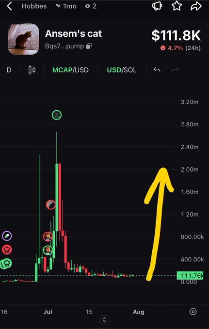 A cryptocurrency price chart showing "Ansem's cat" (token ticker: Bgs7...pump) with a market cap of $111.8K and a 4.7% (24h) decline, featuring a hand-drawn yellow arrow pointing upward indicating bullish sentiment.