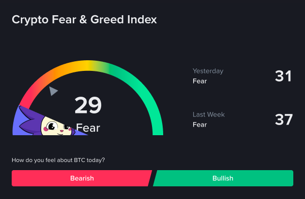The image displays a computer screen with information about Bitcoin trading and fear of Bitcoin. The program is titled "reprogram your mind", indicating that it may offer methods for changing one's thought process or perception related to Bitcoin and cryptocurrency trading. It shows several indicators, such as a fear barometer and a chart displaying the number of Bitcoins earned each week, along with questions on how to approach certain scenarios. Some terms used in this context include "bearish" (referring to a negative forecast), "bullish", and "bulish". The image is not directly related to Bitcoin trading; however, it might be useful for those interested in understanding the psychological aspects or strategies surrounding cryptocurrency trading.