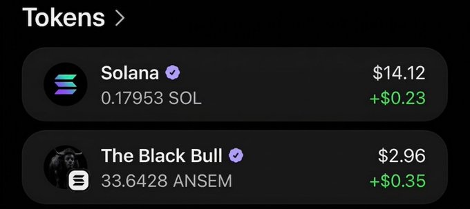 A mobile app screen showing crypto tokens: Solana at $14.12 (+$0.23, 0.17953 SOL) and 'The Black Bull' at $2.96 (+$0.35, 33.6428 ANSEM).
