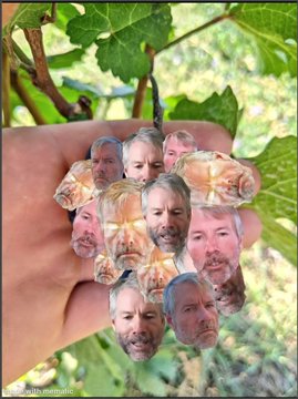 A cluster of grapes with grape skins humoriously edited to display the faces of entrepreneur Naval Ravikant, held by a hand against a vineyard background.