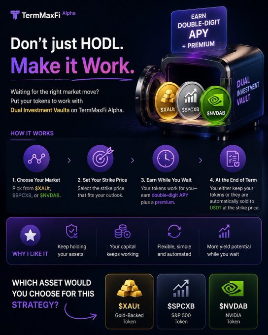TermMaxFi Alpha promotional graphic titled 'Don't just HODL. Make it Work.' advertising Dual Investment Vaults offering double-digit APY plus a premium, with a 4-step process and asset choices including $XAUT, $SPCXB, and $NVDAB.