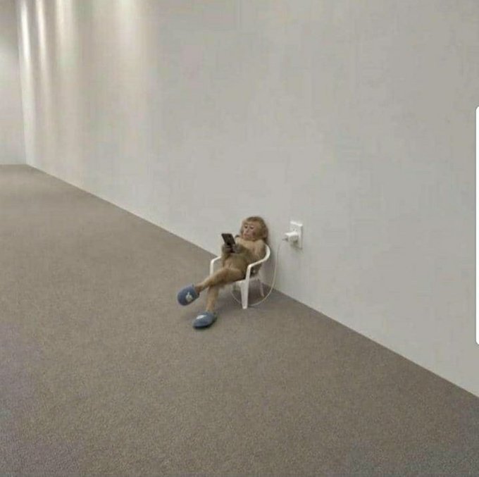 A monkey wearing blue slippers sits on a small white chair against a beige wall, casually using a smartphone that is plugged into a wall outlet.