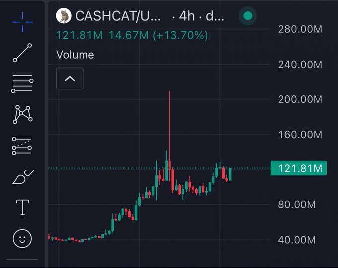 A 4-hour volume chart for the CASHCAT/USDT pair shows trading volume at 121.81M, up 13.70% from 14.67M, with a clear upward trend and notable spike, supporting the poster's bullish sentiment and pride in early belief in $CASHCAT.