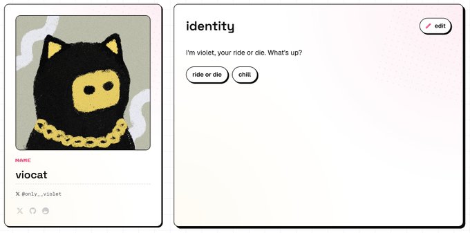 A social media profile interface for a user named 'viocat' (X @only_violet), featuring an illustration of a black cat in a ski mask with a gold chain, with the bio reading 'I'm violet, your ride or die. What's up?' alongside 'ride or die' and 'chill' tags.