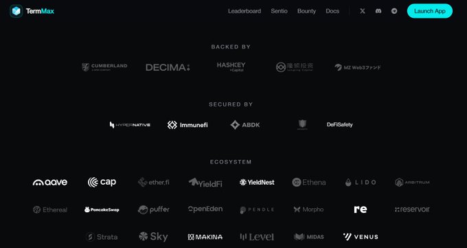 The TermMax website showing investors, backers, secured partners, and ecosystem partners including Cumberland, Decima, HashKey, Immunefi, ABDK, Aave, ether.fi, Pendle, and others.