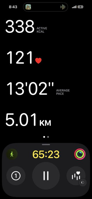 A smartphone fitness app screen displays workout stats: 338 active kcal, 121 heart rate, 13'02" average pace, 5.01 km distance, and a timer at 65:23.