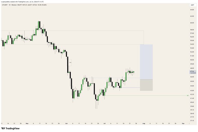 A daily candlestick chart of LTC/USD on TradingView shows a strong downtrend from ~$63 to ~$40 followed by a recent consolidation/pullback around $47, with a highlighted rectangular zone near $47–$48 suggesting a potential trade setup with favorable risk-to-reward as noted in the caption.