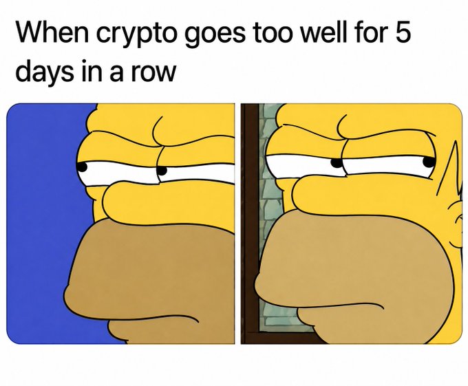 A meme featuring two close-up panels of Homer Simpson's suspicious side-eye expression, with the caption "When crypto goes too well for 5 days in a row," humorously depicting the anxiety crypto investors feel during sustained bullish runs.