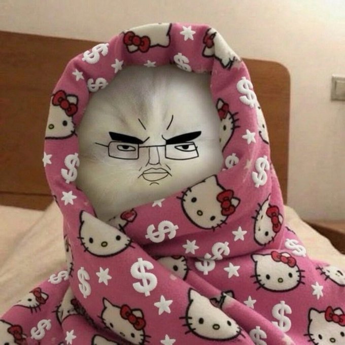 A white cat wrapped in a pink Hello Kitty blanket featuring dollar signs, with a digitally drawn stern face and glasses superimposed on its head.