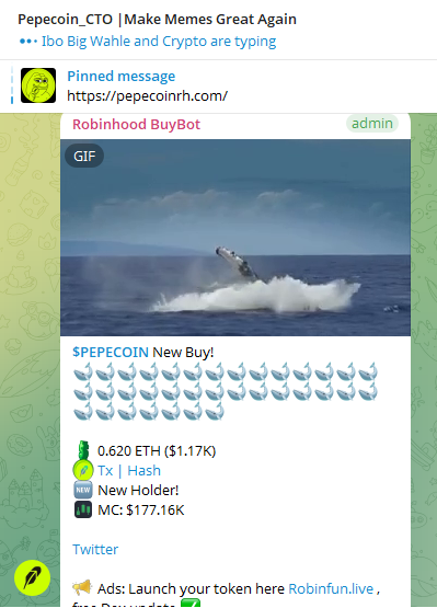 A Telegram chat screenshot from Pepecoin_CTO showing a pinned message link to pepecoinrh.com/, with a Robinhood BuyBot notification about a new $PEPECOIN buy of 0.620 ETH ($1.17K) accompanied by multiple whale emojis and a GIF of a rocket launching from water.