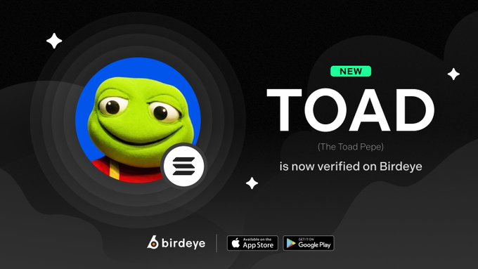 Promotional graphic announcing that $TOAD (The Toad Pepe) by @eltoadpepe is now verified on Birdeye, featuring the smiling green Pepe toad avatar on a blue background alongside the Birdeye logo and App Store/Google Play download links.