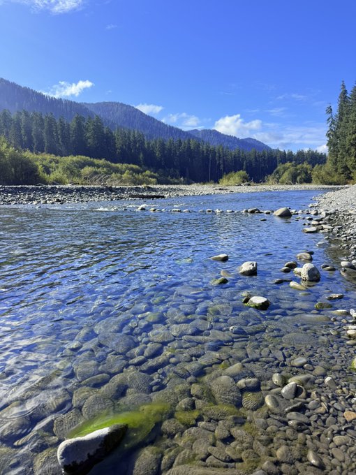 A pristine, clear mountain river flows over smooth, rounded pebbles with lush evergreen forests and rolling hills in the background under a bright blue sky.

The image of this serene natural landscape contrasts with the casual "GM" (Good Morning) greeting, offering a peaceful visual to start the day.