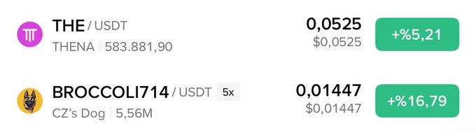 A cryptocurrency price tracker displays two tokens, THE (THENA) at $0.0525 with a +5.21% gain and BROCCOLI714 (CZ's Dog) at $0.01447 with a +16.79% surge, highlighting both assets as notable movers to monitor.
