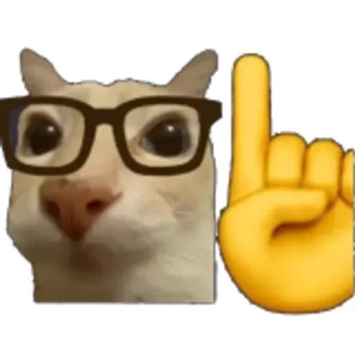 A meme image featuring a white cat wearing oversized black-rimmed glasses next to a yellow pointing-up emoji hand.