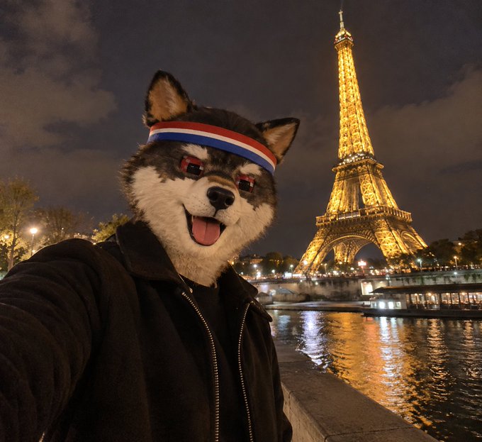 A husky dog wearing a red, white, and blue striped headband and pixelated sunglasses, appearing in a selfie-style photo with the illuminated Eiffel Tower and the Seine River in the background at night.