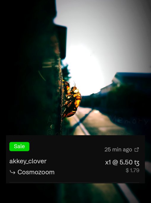 A listing on "Cosmozoom" shows a sale by user "akkey_clover" from 25 minutes ago, priced at "x1 @ 5.50 tз" with a discounted price of "$1.79," featuring a close-up of a glowing cicada shell against a bright sky.