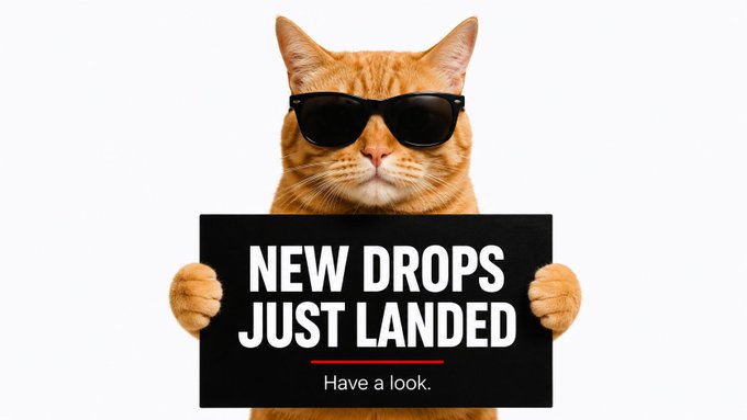 A promotional image showing an orange tabby cat wearing sunglasses and holding a black sign that reads 'NEW DROPS JUST LANDED - Have a look.'