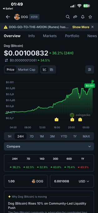 A mobile screenshot from Safari displaying a CoinGecko page for Dog (Bitcoin) with the ticker "DOG #259," a price of "$0.00100832," a "+36.2% (24H)" increase, and the headline "Why Dog (Bitcoin) is moving."