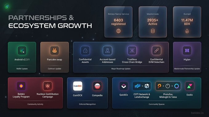 An infographic titled 'PARTNERSHIPS & ECOSYSTEM GROWTH' by Beldex showing statistics: 6403 BNS registered, 2935+ Mastodon active, 11.47M BDX burned, with various app icons including Beldex, Pancake swap, CoinDCX, Coinpedia, QuickEx, and Exolix.