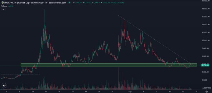 A cryptocurrency chart showing HWM/WETH (Market Cap) on Uniswap from dexscreener.com, with the current price at approximately 3,749.53 WETH, displaying a downward trend within a highlighted green support zone.