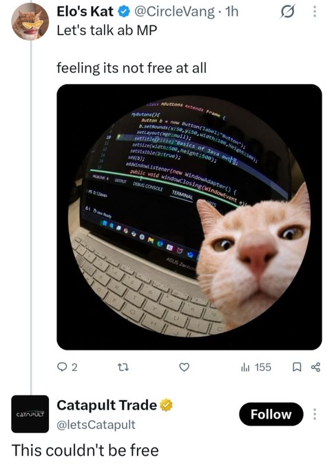 A tweet from Elo's Kat (@CircleVang) says "Let's talk ab MP" and "feeling its not free at all," showing a meme of code on a laptop with a shocked cat face, with a quote tweet from Catapult Trade (@letsCatapult) reading "This couldn't be free."