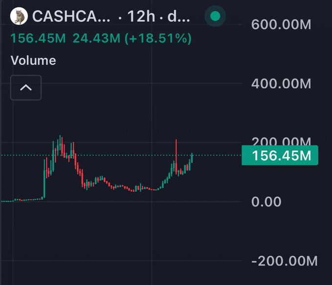A 12-hour candlestick volume chart for $CASHCA (CashCat) shows trading volume spiking to 156.45M with a +18.51% gain of 24.43M, reflecting the post's claim that the token is "flying" amid notable upward momentum.