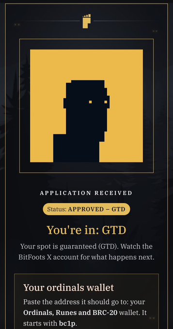 An application confirmation screen showing 'APPLICATION RECEIVED' with status 'APPROVED – GTD' and the message 'You're in: GTD', along with instructions to paste an Ordinals/Runes/BRC-20 wallet address starting with bc1p.