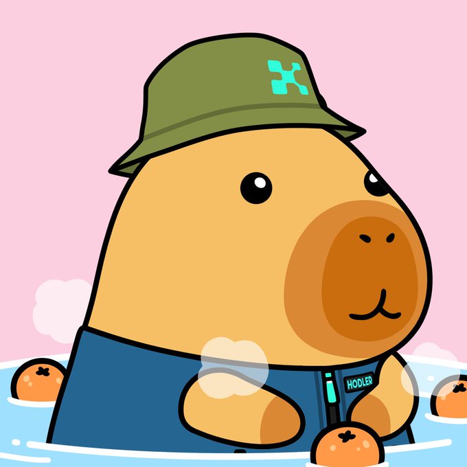 A cartoon illustration of a capybara wearing a green bucket hat with a cyan 'X' logo and a blue vest labeled 'HODLER', floating in water surrounded by oranges.