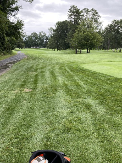 A golf course view shows freshly mown green grass with visible mowing patterns, surrounded by tall trees under a cloudy sky.