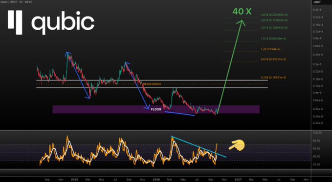 A cryptocurrency chart for the Qubic token (Qubic / USDT - 1D - MEXC) displays price action with annotations indicating resistance, a floor, and a projected '40 X' upward move.