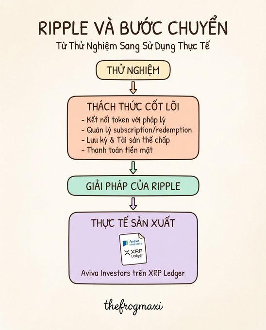 An infographic in Vietnamese titled 'RIPPLE VÀ BƯỚC CHUYỂN' detailing a transition from experimentation to practical use, showing core challenges (token binding, subscription/redemption management, custody, cash payments) and Ripple's solution featuring 'Aviva investors trên XRP Ledger'.