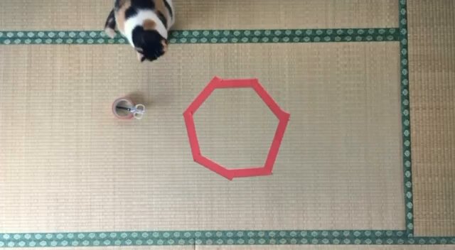 None