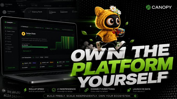 The image features an advertisement for a platform called @CNPYNetwork that focuses on innovation rather than infrastructure. The main visual element of the image is a cartoon cat wearing a yellow sweater, which is part of the platform's logo. The text in the image reads "OWN IN THE PLATFORM YOURSELF", emphasizing the idea of self-serve platforms and the importance of focusing on innovation to drive growth.