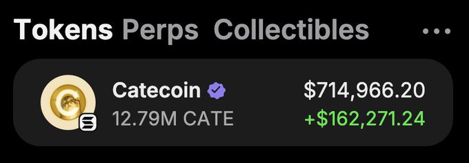 A cryptocurrency portfolio screenshot showing Tokens, Perps, and Collectibles tabs, displaying 12.79M CATE (Catecoin) valued at $714,966.20 with a gain of +$162,271.24.