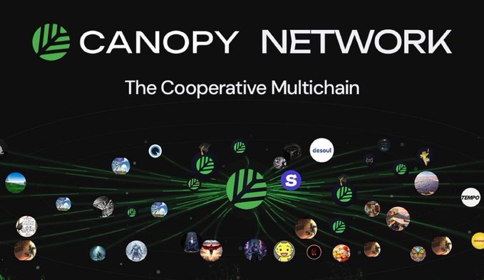 A promotional graphic for "CANOPY NETWORK - The Cooperative Multichain" featuring interconnected logos of various blockchain projects and communities radiating from a central green leaf icon.
