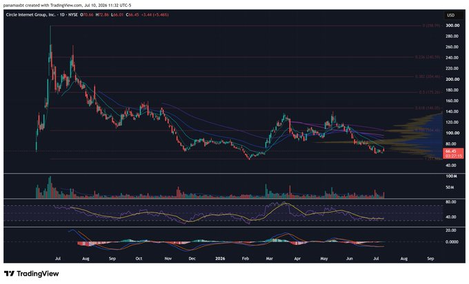 A TradingView candlestick chart for Circle Internet Group (CIKO) on NYSE showing a 1D timeframe, with price declining from a high of around $300 to around $66.45, including MACD and RSI indicators.