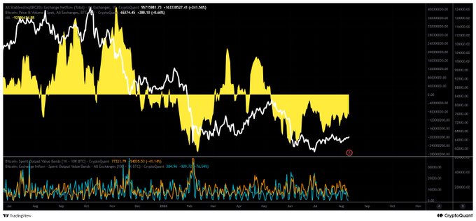 TradingView crypto chart for PEPEBTC showing Bitcoin spot and futures order flow data with a CryptoQuant panel at the bottom.