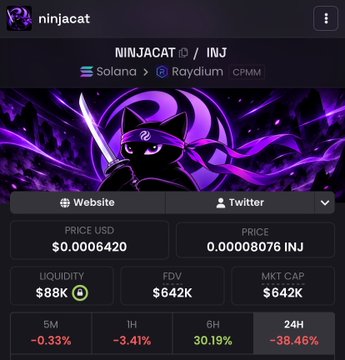 A cryptocurrency tracker shows the token 'NINJACAT' on the Solana and Raydium CPMM exchange, priced at $0.00006420 USD with a 24-hour change of -38.46%.