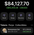 A screenshot of a crypto app displays a portfolio value of $84,127.70, including holdings for Solana, Snek, and an 'Anonymous Cat' token worth $72,299.62.