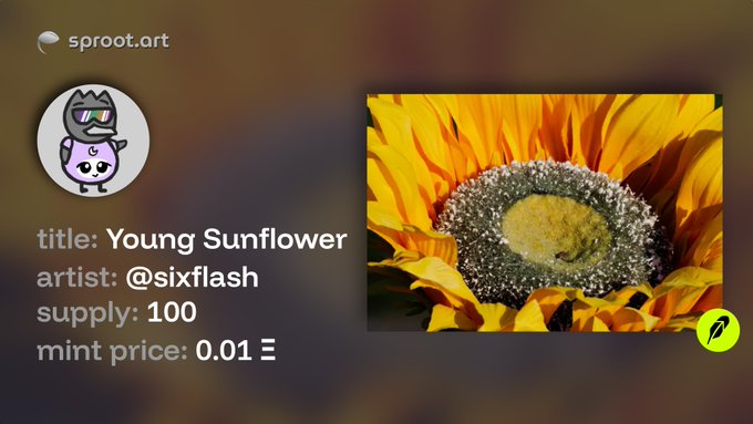 A digital art listing on sproof.art titled 'Young Sunflower' by artist @sixflash, showing a close-up of a sunflower with a mint price of 0.01 ETH and supply of 100.