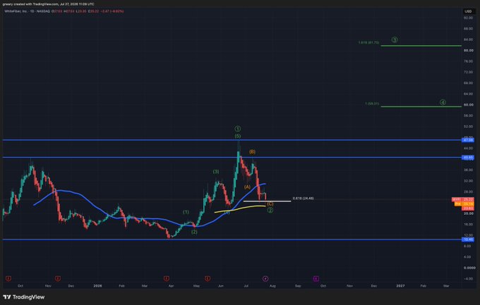 A TradingView chart of Whirlpool Corp. (WHR, 1D) showing an Elliott Wave count with a recent pullback to the 200-day moving average confluence at 24.48 (0.618 Fib), mapping the post's thesis of a Wave 3 rally higher toward the $81 target following support hold.