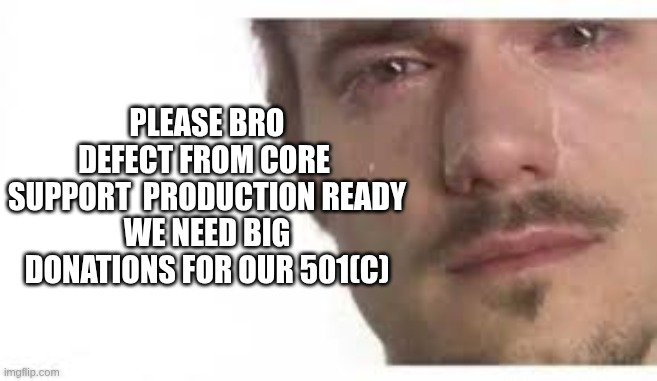 A meme image of a crying man with text reading 'PLEASE BRO DEFECT FROM CORE SUPPORT PRODUCTION READY WE NEED BIG DONATIONS FOR OUR 501(C)'.
