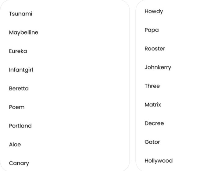 A simple UI displaying two columns of words: left column contains Tsunami, Maybelline, Eureka, Infantgirl, Beretta, Poem, Portland, Aloe, Canary; right column contains Howdy, Papa, Rooster, Johnkerry, Three, Matrix, Decree, Gator, Hollywood.